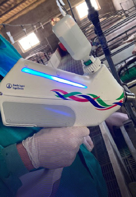 frevax innovative design